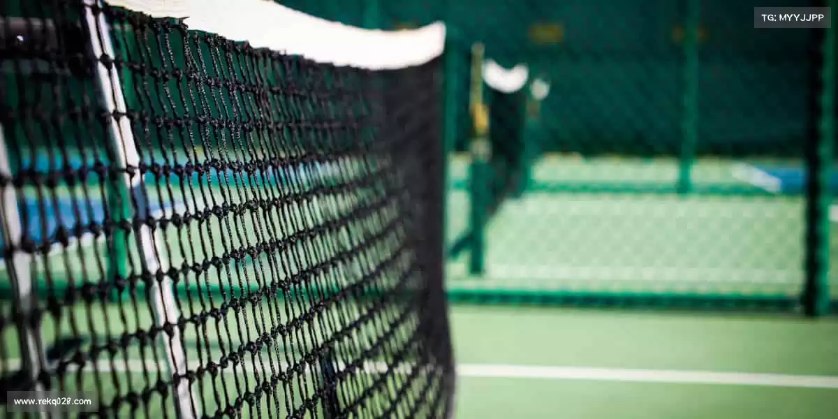 行业领先的理由